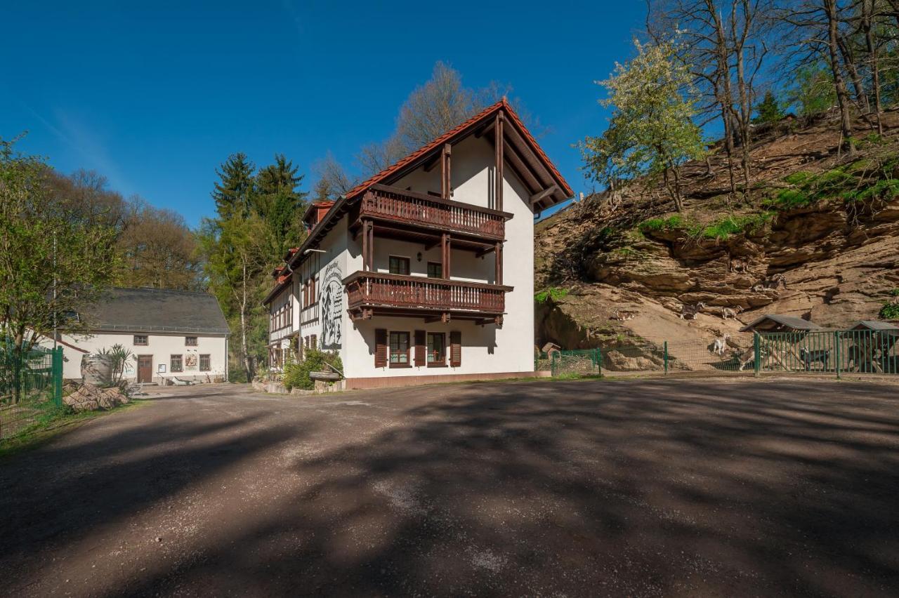 Zur Margarethenmuehle - Landgasthof Und Waldhotel Rosswein Exteriér fotografie
