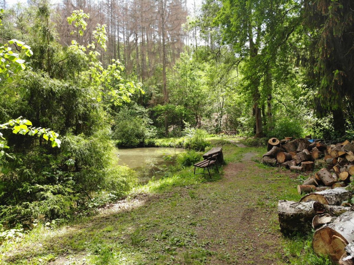 Zur Margarethenmuehle - Landgasthof Und Waldhotel Rosswein Exteriér fotografie