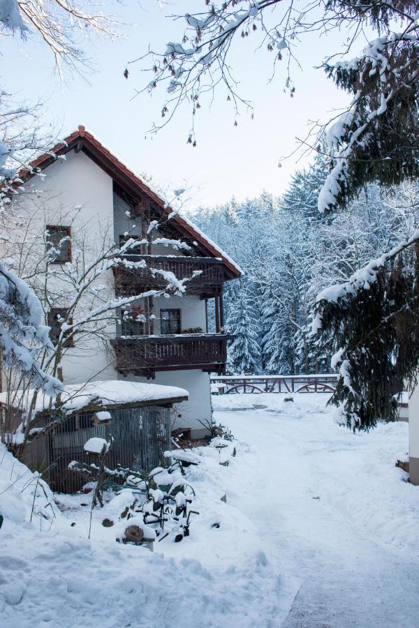 Zur Margarethenmuehle - Landgasthof Und Waldhotel Rosswein Exteriér fotografie