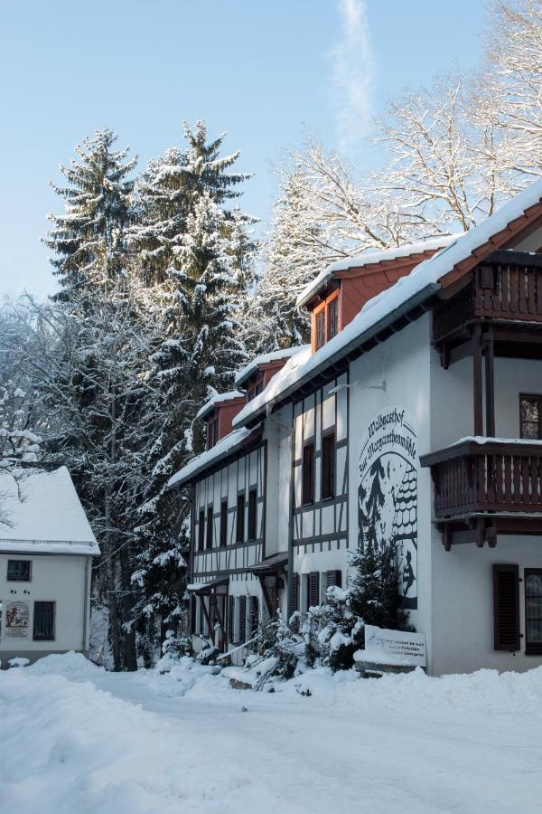 Zur Margarethenmuehle - Landgasthof Und Waldhotel Rosswein Exteriér fotografie